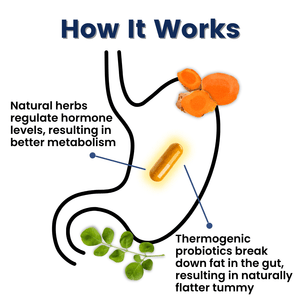 New Provitalize | Best Natural Weight Management Probiotic